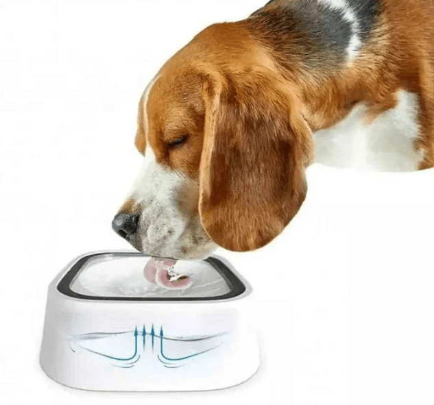 Splash Free Pet Water Bowl image 4