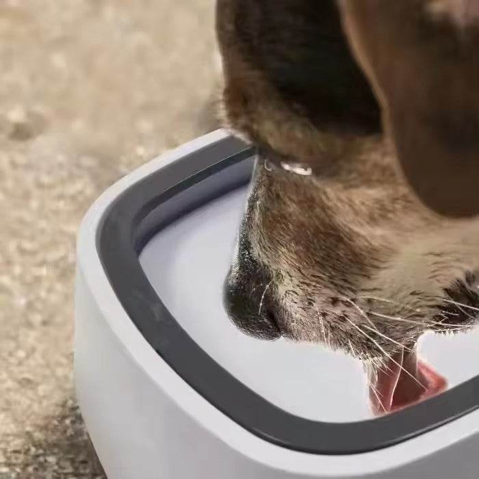 Splash Free Pet Water Bowl image 5