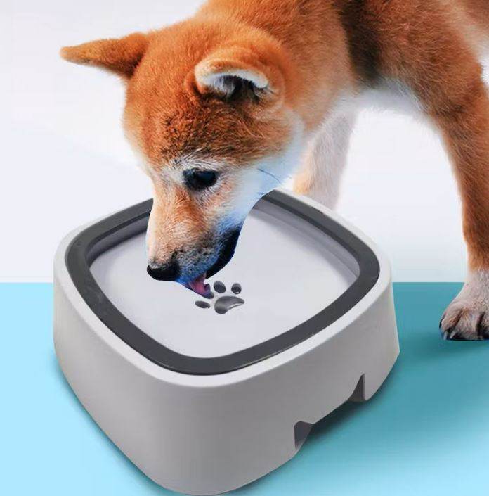 Splash Free Pet Water Bowl image 7